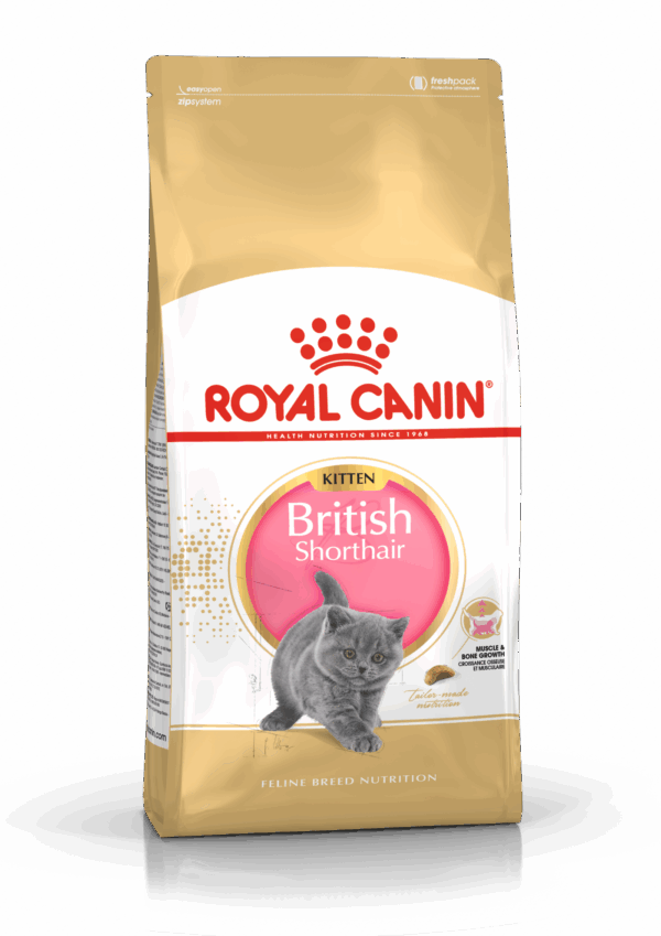 Royal Canin Kitten British Shorthair 2kg