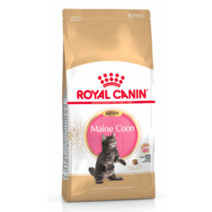Royal Canin Kitten Maine Coon