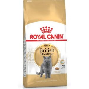 Royal Canin Adult British Shorthair